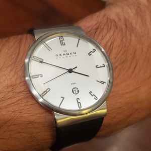 Men's Skagen Steel Series Watch